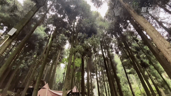 
南京市口腔医院黄牛代挂号电话票贩子号贩子网上预约挂号,住院检查加快,暑期经济观察｜亲近自然享清凉 “绿水青山”释放暑期文旅消费新活力