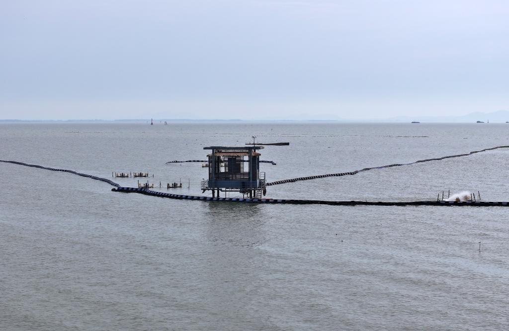 
上海仁济医院黄牛代挂号电话票贩子号贩子网上预约挂号,住院检查加快,习近平总书记关切事｜生态守护亮“新”技