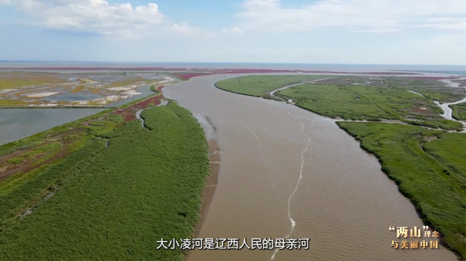 
重庆儿童医院黄牛代挂号电话票贩子号贩子网上预约挂号,住院检查加快,“两山”理念与美丽中国丨红滩绿苇 鸥鹭齐飞：守护身边的“自然会客厅”