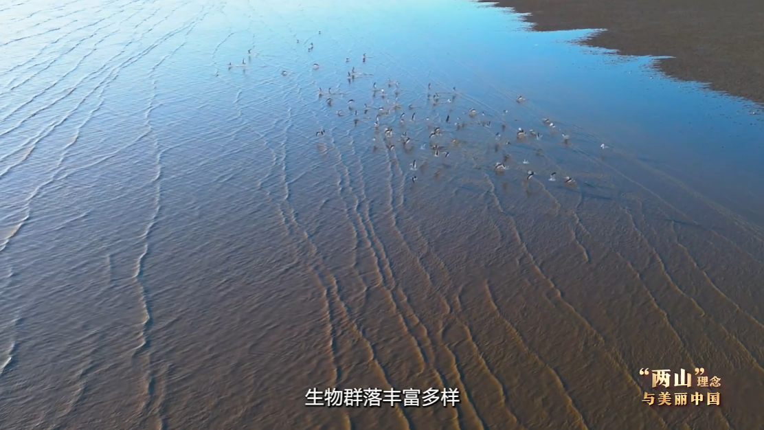 
重庆儿童医院黄牛代挂号电话票贩子号贩子网上预约挂号,住院检查加快,“两山”理念与美丽中国丨红滩绿苇 鸥鹭齐飞：守护身边的“自然会客厅”