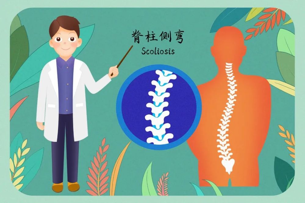 
西安西京医院黄牛代挂号电话票贩子号贩子网上预约挂号,住院检查加快,别让脊柱侧弯“偷走”孩子挺拔的身姿｜科普时间
