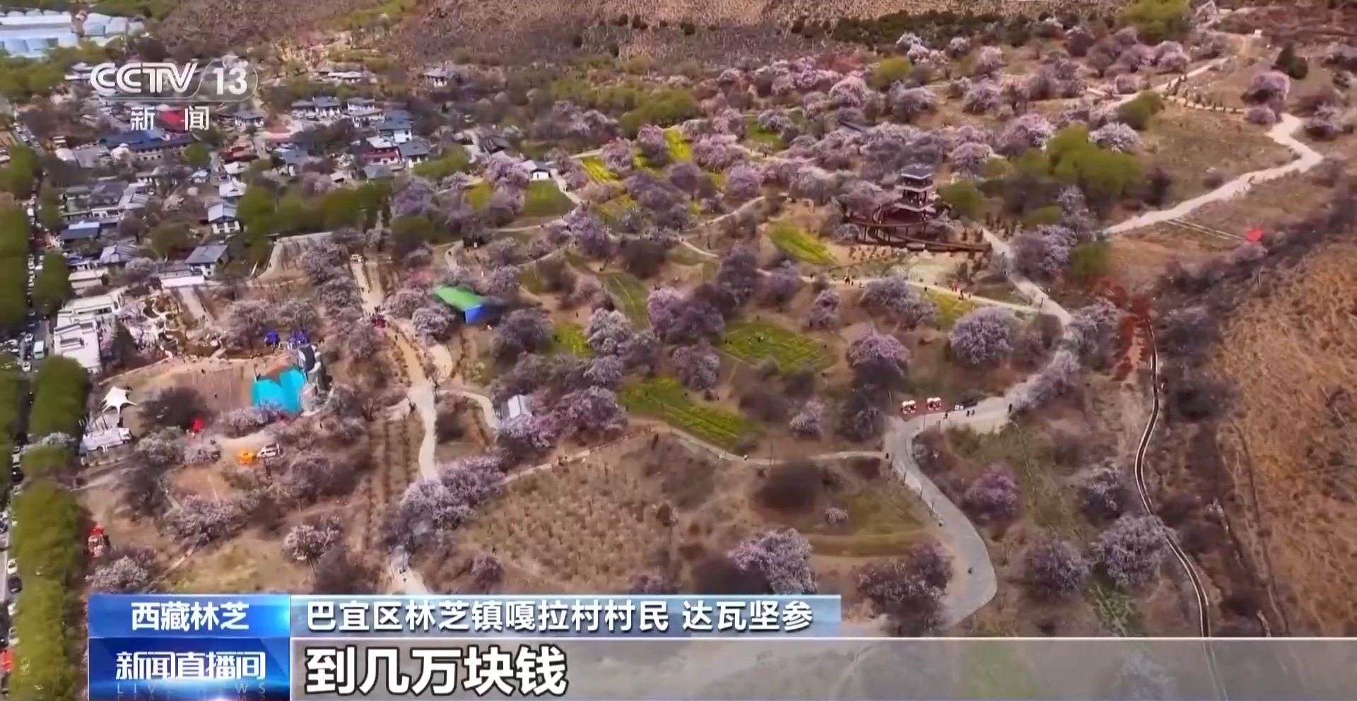 
北京各大医院黄牛代挂号电话票贩子号贩子网上预约挂号,住院检查加快,辉煌60载 魅力新西藏丨发展“桃花经济” 西藏嘎拉村走上生态致富路