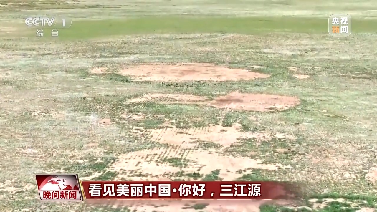 
上海儿科医院黄牛代挂号电话票贩子号贩子网上预约挂号,住院检查加快,看见美丽中国丨三江源20年蜕变：千湖归来 “中华水塔”焕新生
