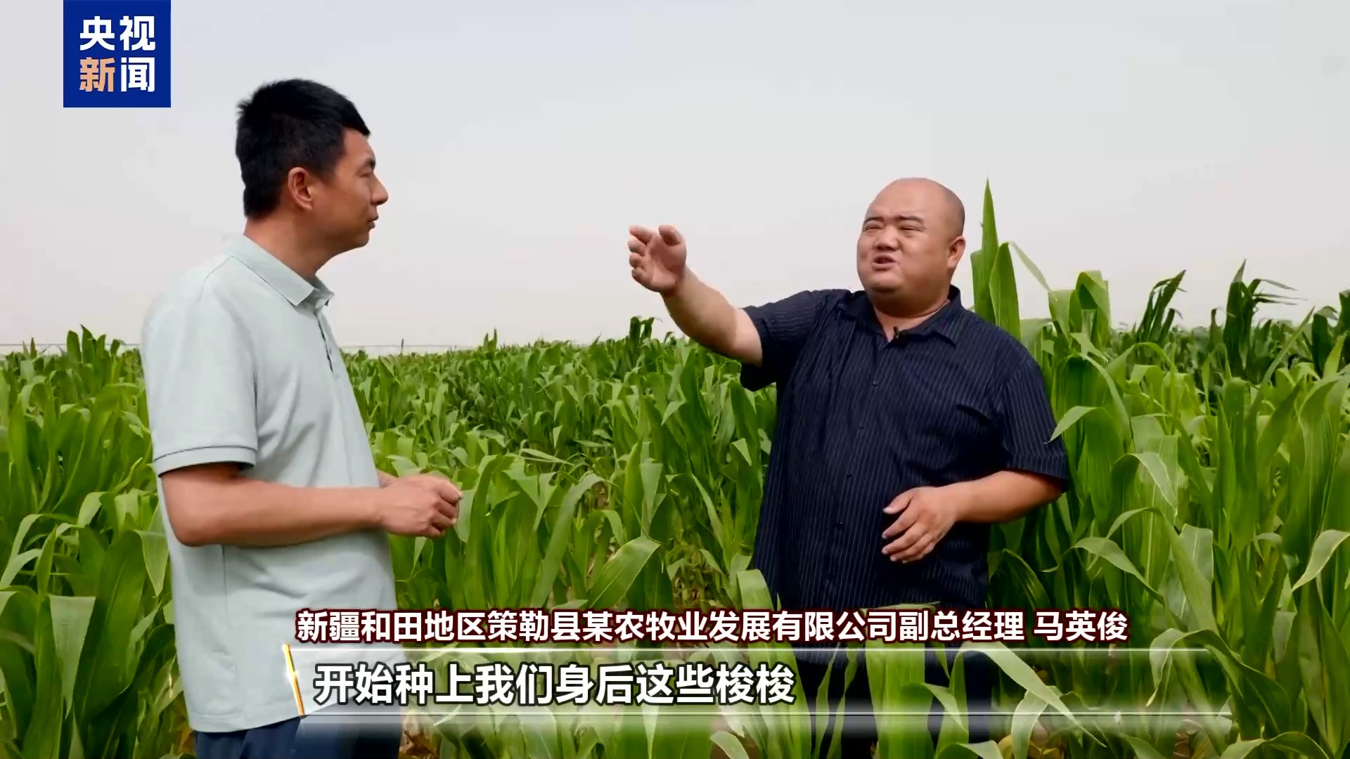 
首都医科大学附属天坛医院黄牛代挂号电话票贩子号贩子网上预约挂号,住院检查加快,沙漠里也能养海鲜、种水稻？看新疆如何“点沙成金”