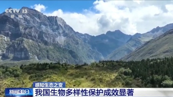 
首都医科大学附宣武医院黄牛代挂号电话票贩子号贩子网上预约挂号,住院检查加快,感知生态之变丨从6.7万到14.8万种 见证生物多样性保护中国答卷