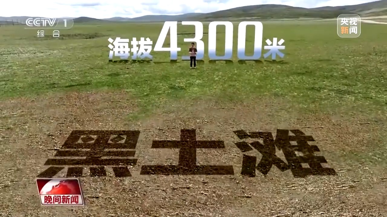 
上海儿科医院黄牛代挂号电话票贩子号贩子网上预约挂号,住院检查加快,看见美丽中国丨三江源20年蜕变：千湖归来 “中华水塔”焕新生