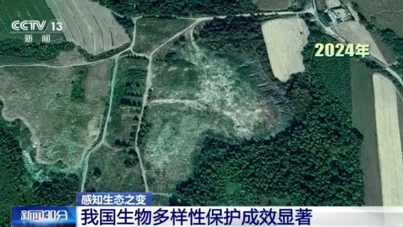 
首都医科大学附宣武医院黄牛代挂号电话票贩子号贩子网上预约挂号,住院检查加快,感知生态之变丨从6.7万到14.8万种 见证生物多样性保护中国答卷