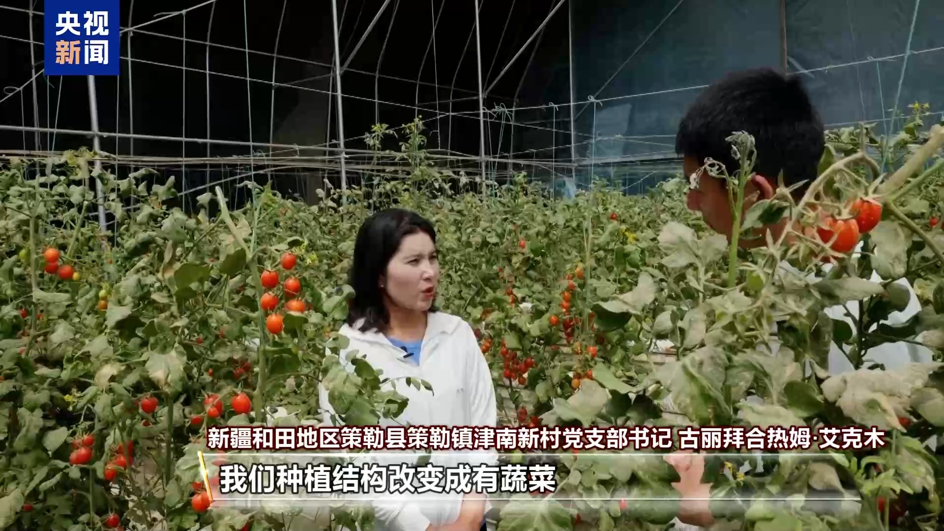 
首都医科大学附属天坛医院黄牛代挂号电话票贩子号贩子网上预约挂号,住院检查加快,沙漠里也能养海鲜、种水稻？看新疆如何“点沙成金”