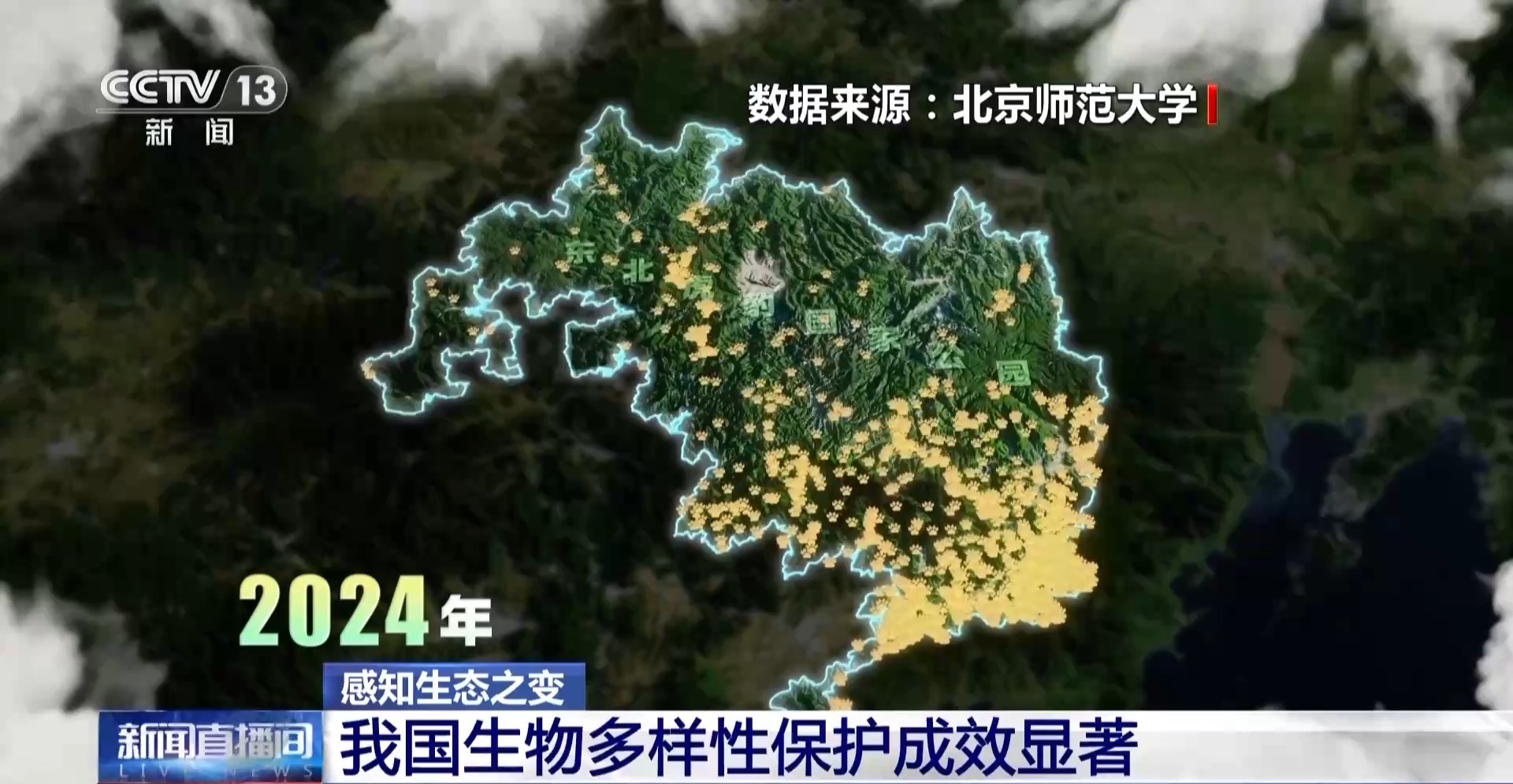 
北京鼓楼医院孙凌云黄牛代挂号电话票贩子号贩子网上预约挂号,住院检查加快,感知生态之变丨2.8万台红外相机里藏着东北虎豹变迁史