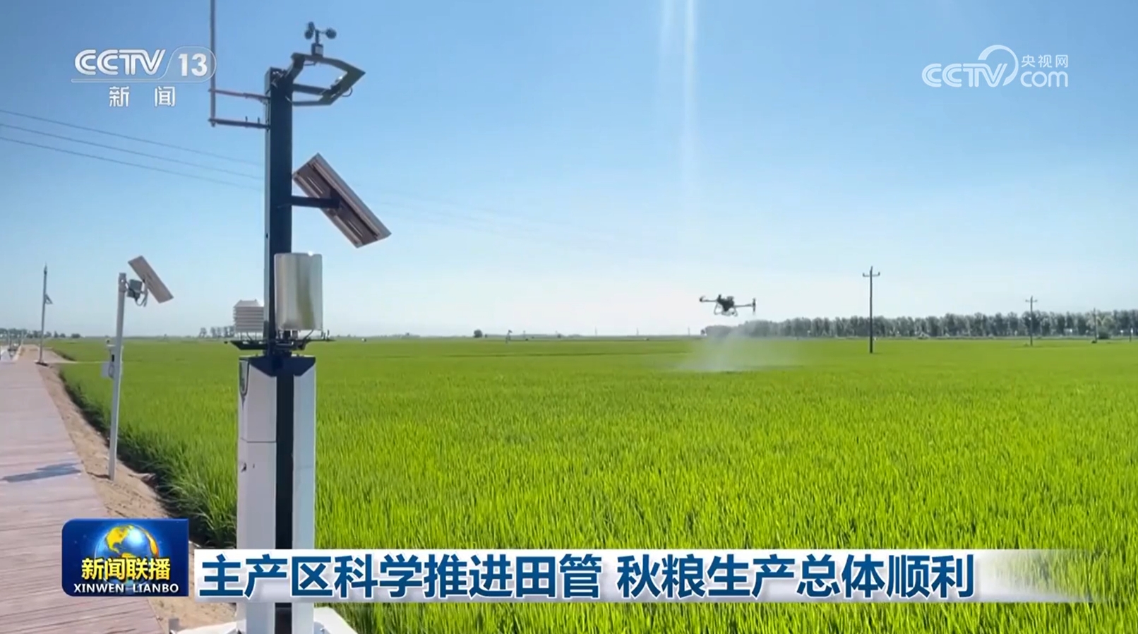 
上海儿童医院黄牛代挂号电话票贩子号贩子网上预约挂号,住院检查加快,主产区科学推进田管 秋粮生产总体顺利