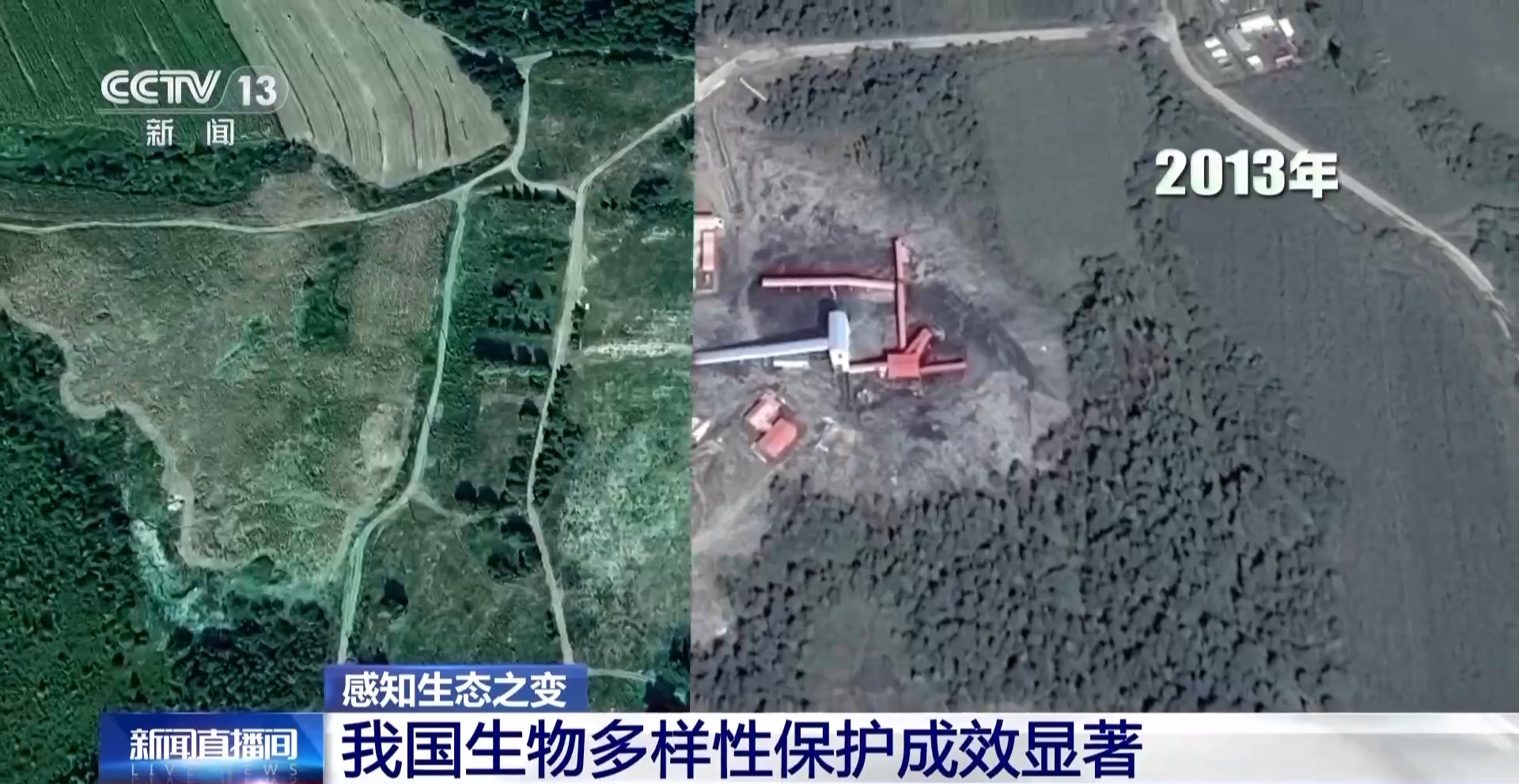 
北京鼓楼医院孙凌云黄牛代挂号电话票贩子号贩子网上预约挂号,住院检查加快,感知生态之变丨2.8万台红外相机里藏着东北虎豹变迁史