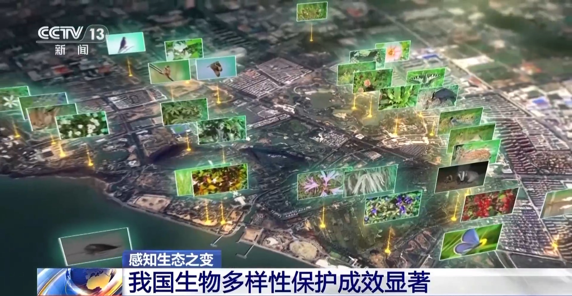 
北京鼓楼医院孙凌云黄牛代挂号电话票贩子号贩子网上预约挂号,住院检查加快,感知生态之变丨2.8万台红外相机里藏着东北虎豹变迁史