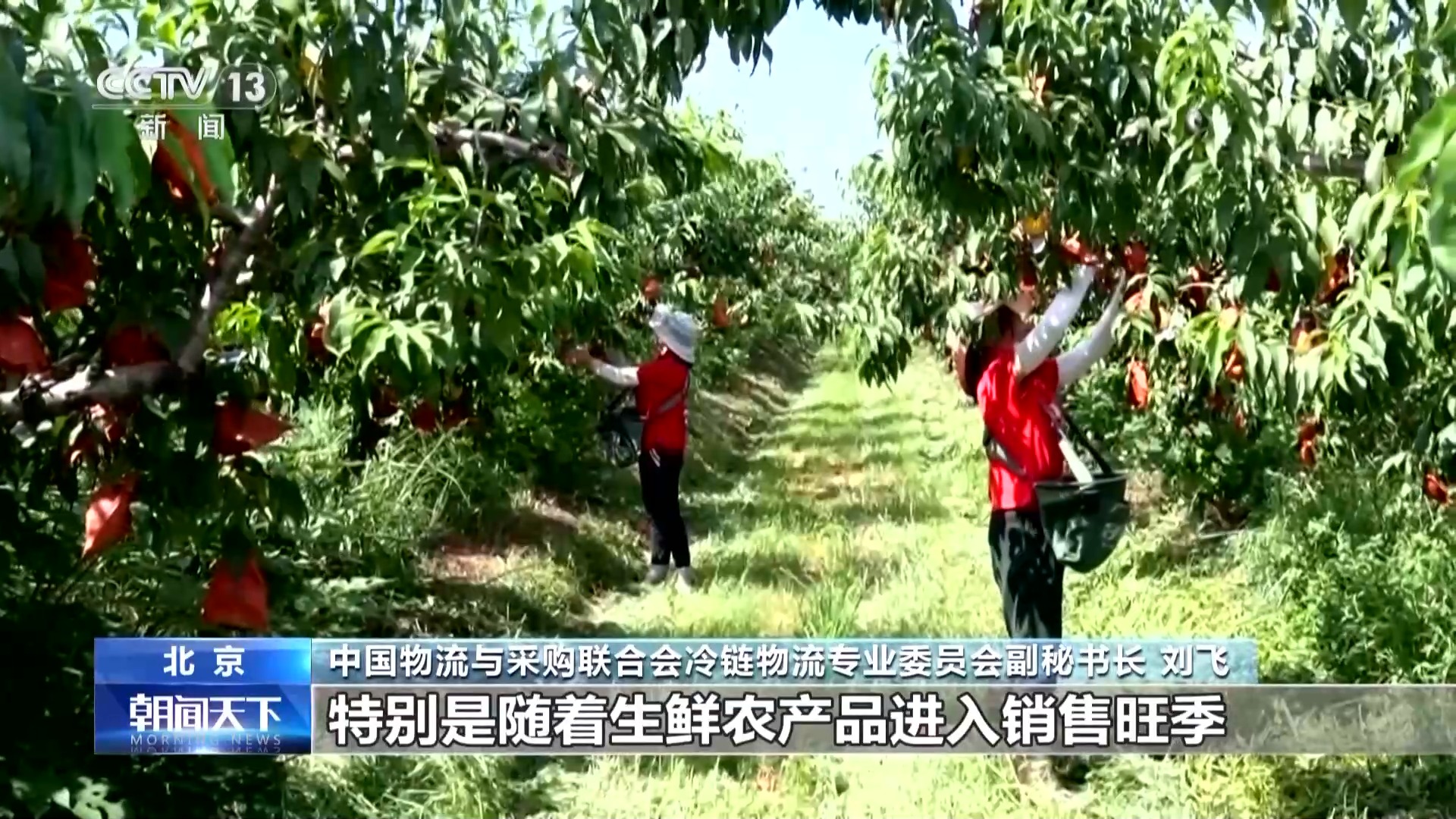 
湖南中医附一医院黄牛代挂号电话票贩子号贩子网上预约挂号,住院检查加快,市场规模持续扩大 我国冷链物流运行上半年数据出炉