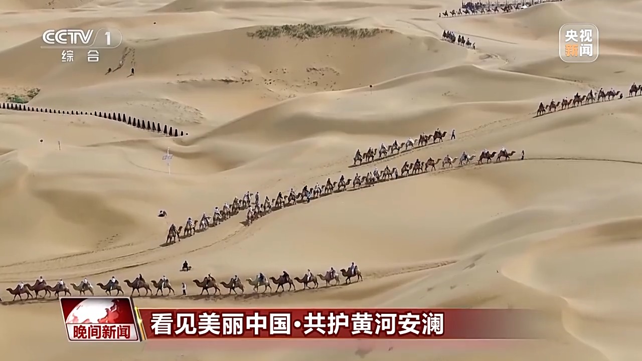 
北京西苑医院黄牛代挂号电话票贩子号贩子网上预约挂号,住院检查加快,看见美丽中国丨把断流之痛化作生态之美 母亲河生态蜕变向“绿”而行