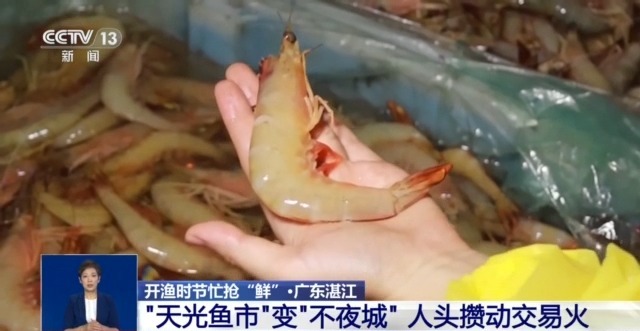 
南京金陵医院黄牛代挂号电话票贩子号贩子网上预约挂号,住院检查加快,开渔时节首批海鱼虾蟹上岸 市民游客岸边等船抢“鲜”一步