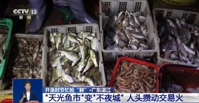 
南京金陵医院黄牛代挂号电话票贩子号贩子网上预约挂号,住院检查加快,开渔时节首批海鱼虾蟹上岸 市民游客岸边等船抢“鲜”一步