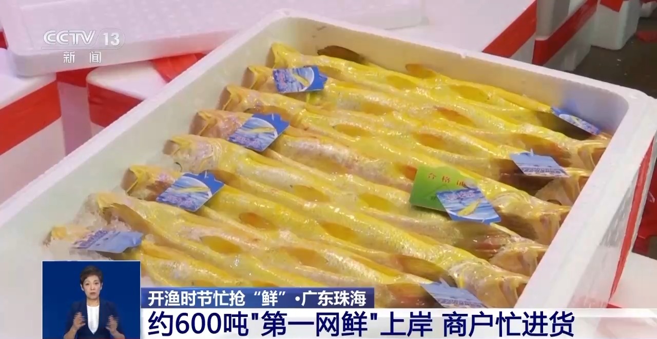 
南京金陵医院黄牛代挂号电话票贩子号贩子网上预约挂号,住院检查加快,开渔时节首批海鱼虾蟹上岸 市民游客岸边等船抢“鲜”一步