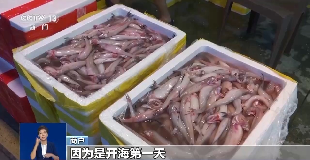 
南京金陵医院黄牛代挂号电话票贩子号贩子网上预约挂号,住院检查加快,开渔时节首批海鱼虾蟹上岸 市民游客岸边等船抢“鲜”一步