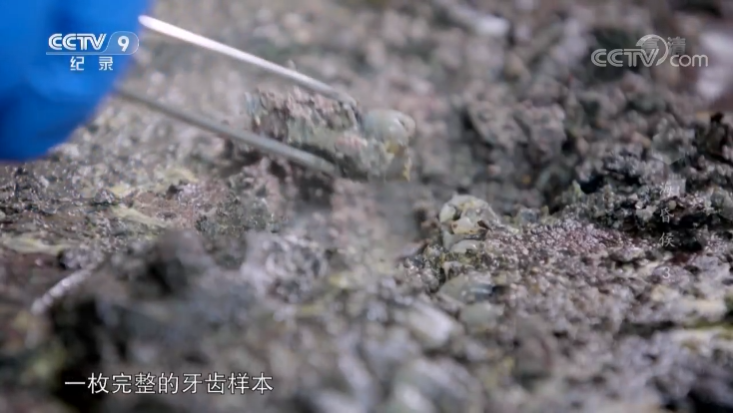 △来源：总台节目《海昏侯》