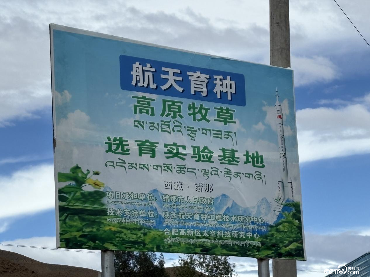 
首都医科大学附属北京妇产医院黄牛代挂号电话票贩子号贩子网上预约挂号,住院检查加快,辉煌60年•我们的家园│行走在高原之上：触摸新时代幸福西藏的脉搏——“辉煌60年·我们的家园 幸福美丽西藏”网络主题活动
