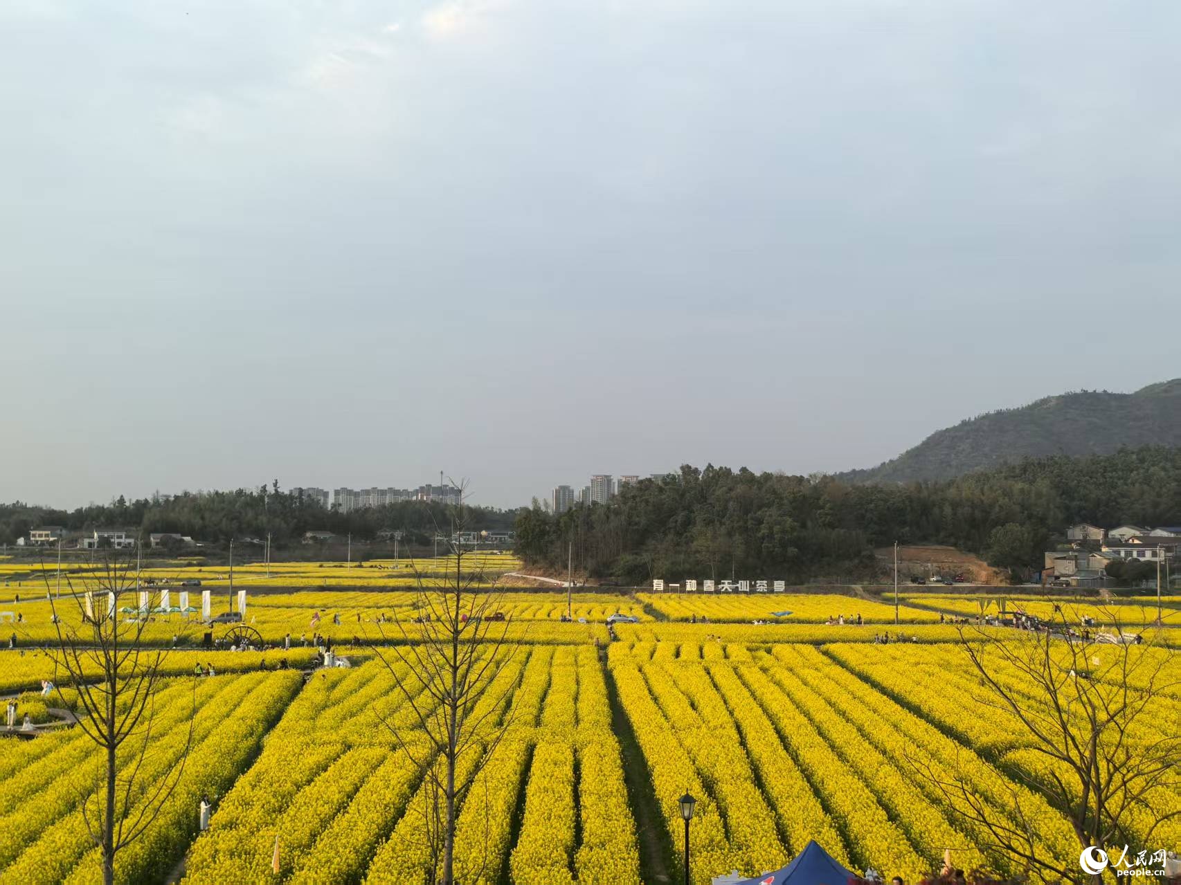 
广州市妇女儿童医疗中心黄牛代挂号电话票贩子号贩子网上预约挂号,住院检查加快,行进中国｜乡村振兴看“湘”村