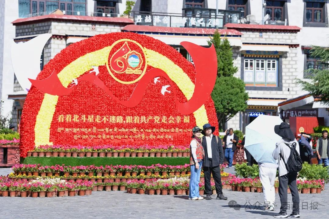 
北京朝阳医院黄牛代挂号电话票贩子号贩子网上预约挂号,住院检查加快,雪域高原的这波喜庆溢出屏幕啦！