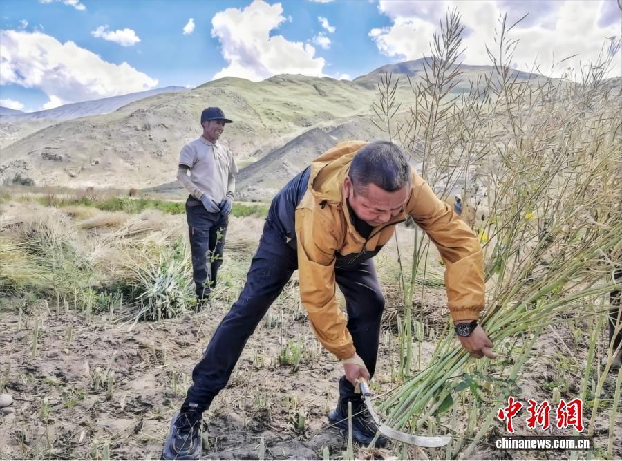 
南京各大医院黄牛代挂号电话票贩子号贩子网上预约挂号,住院检查加快,一碗藏面里的民心密码：巴热村第一书记的“实干经”