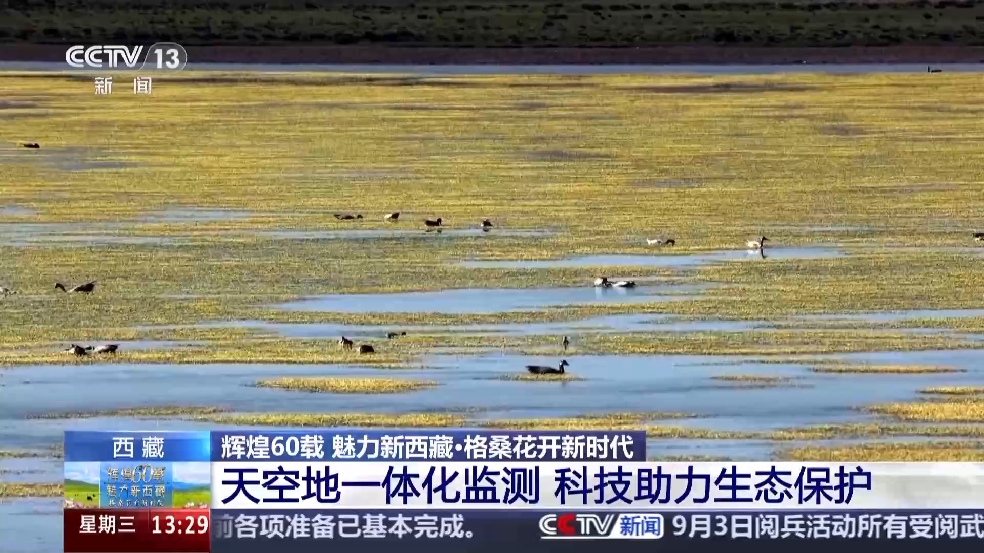 
杭州市三医院黄牛代挂号电话票贩子号贩子网上预约挂号,住院检查加快,辉煌60载 魅力新西藏丨天空地一体化监测 科技守护三江源高原精灵