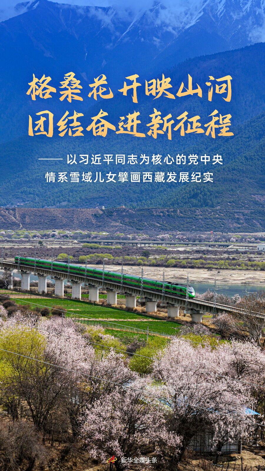 
中国医学科学院肿瘤医院黄牛代挂号电话票贩子号贩子网上预约挂号,住院检查加快,格桑花开映山河 团结奋进新征程——以习近平同志为核心的党中央情系雪域儿女擘画西藏发展纪实