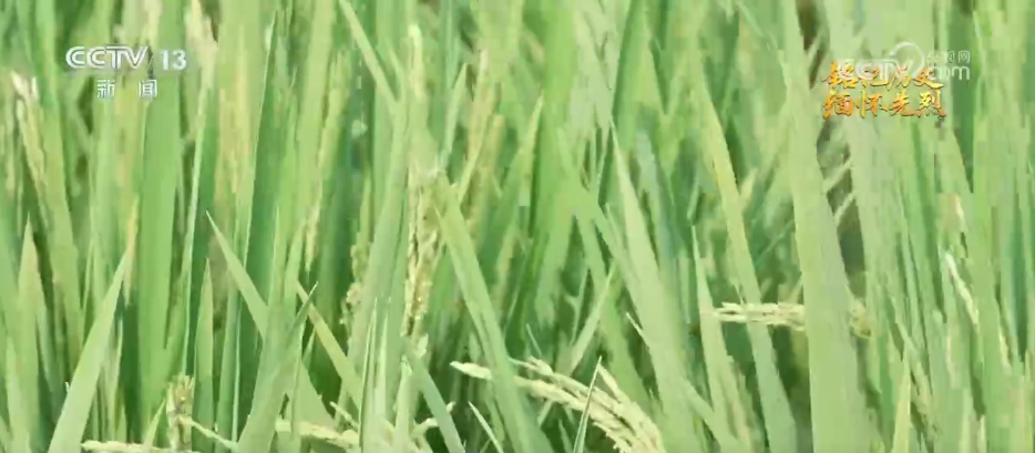 
南京市第一医院黄牛代挂号电话票贩子号贩子网上预约挂号,住院检查加快,抗日根据地·今昔巨变 | 焕新颜 展笑颜 革命堡垒变身开放新引擎