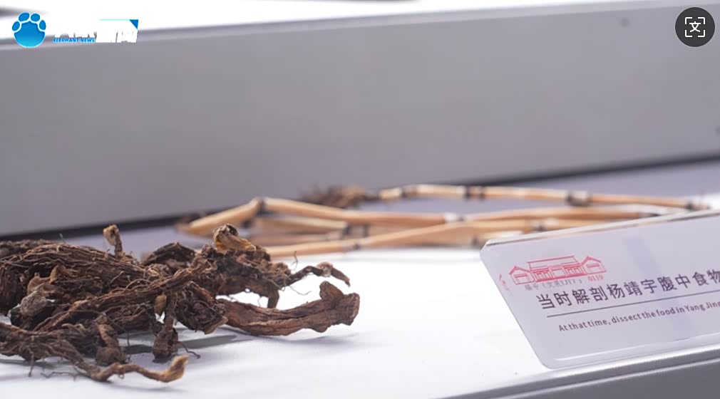 
北京广安门中医院黄牛代挂号电话票贩子号贩子网上预约挂号,住院检查加快,来时路上|我们都投降了，还有中国吗？