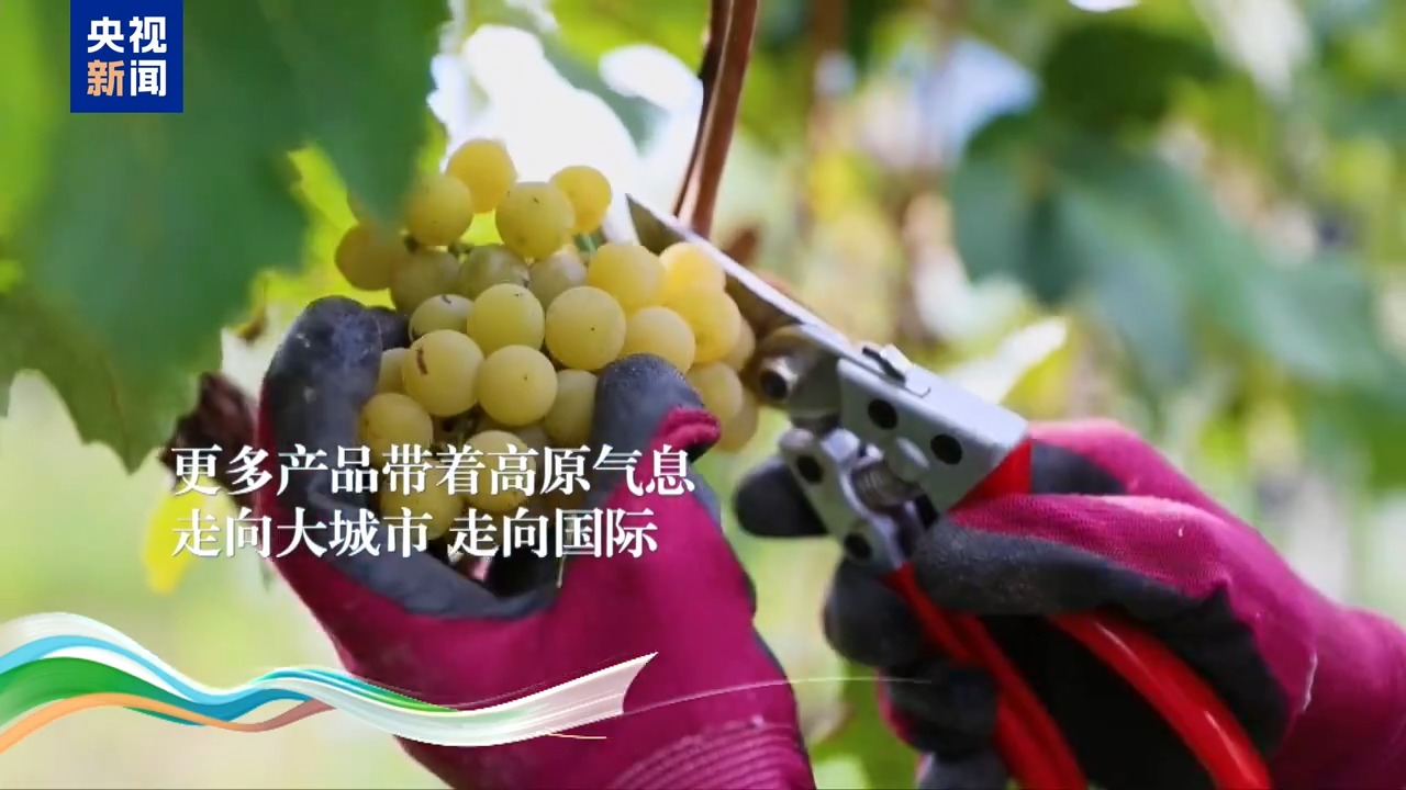 
天津各大医院黄牛代挂号电话票贩子号贩子网上预约挂号,住院检查加快,今天的西藏，有什么？听听他们心中的答案