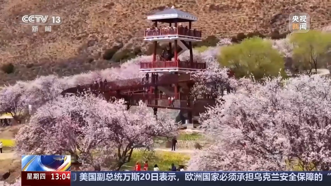 
首都医科大学附属北京胸科医院黄牛代挂号电话票贩子号贩子网上预约挂号,住院检查加快,从边境小村到旅游胜地 这里是“西藏桃花第一村”
