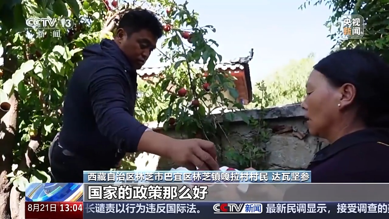 
首都医科大学附属北京胸科医院黄牛代挂号电话票贩子号贩子网上预约挂号,住院检查加快,从边境小村到旅游胜地 这里是“西藏桃花第一村”