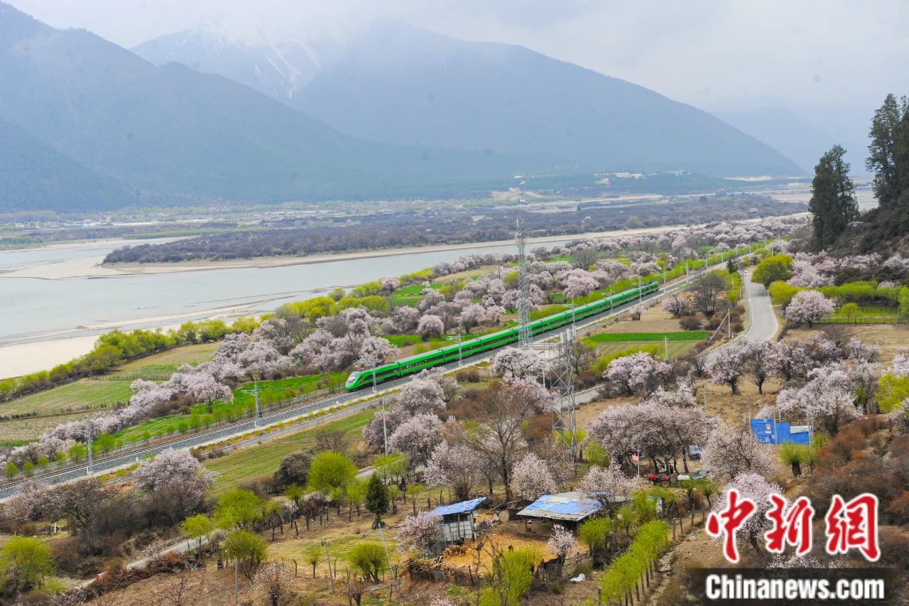 
广州儿童医院黄牛代挂号电话票贩子号贩子网上预约挂号,住院检查加快,人这一辈子，一定要去一趟西藏！