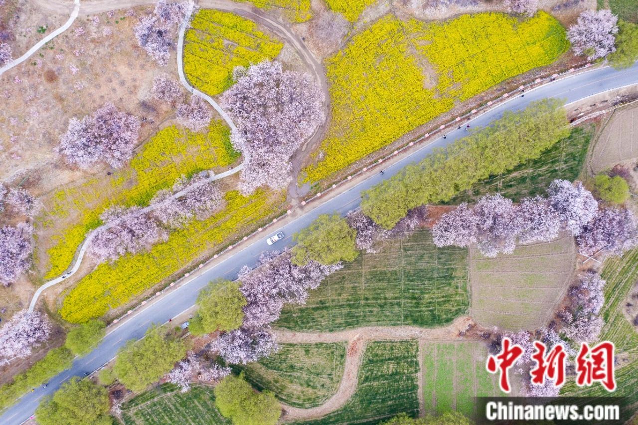 
广州儿童医院黄牛代挂号电话票贩子号贩子网上预约挂号,住院检查加快,人这一辈子，一定要去一趟西藏！