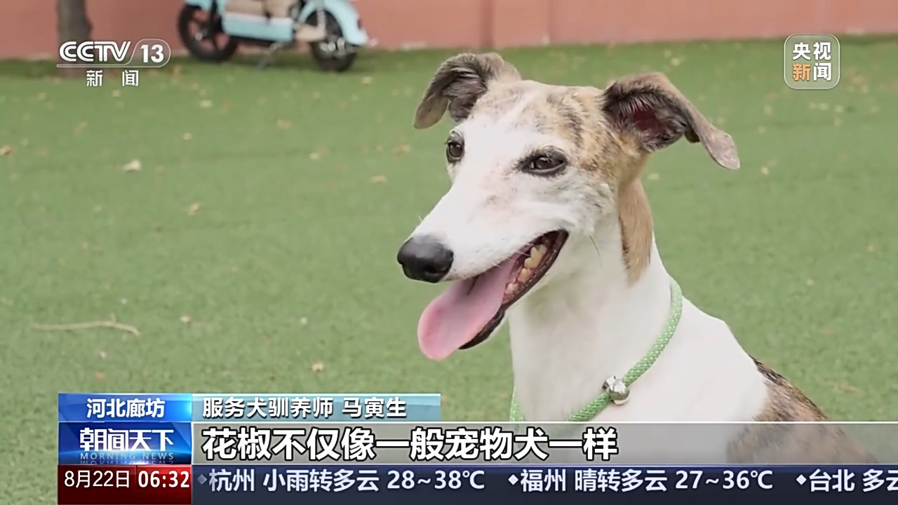 
广州中山眼科医院黄牛代挂号电话票贩子号贩子网上预约挂号,住院检查加快,宠物服务招聘增速超72% 年轻人纷纷加入这一新兴行业