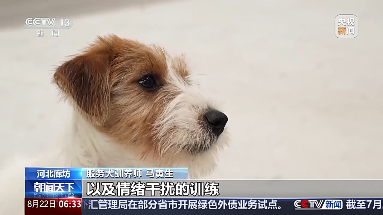 
广州中山眼科医院黄牛代挂号电话票贩子号贩子网上预约挂号,住院检查加快,宠物服务招聘增速超72% 年轻人纷纷加入这一新兴行业
