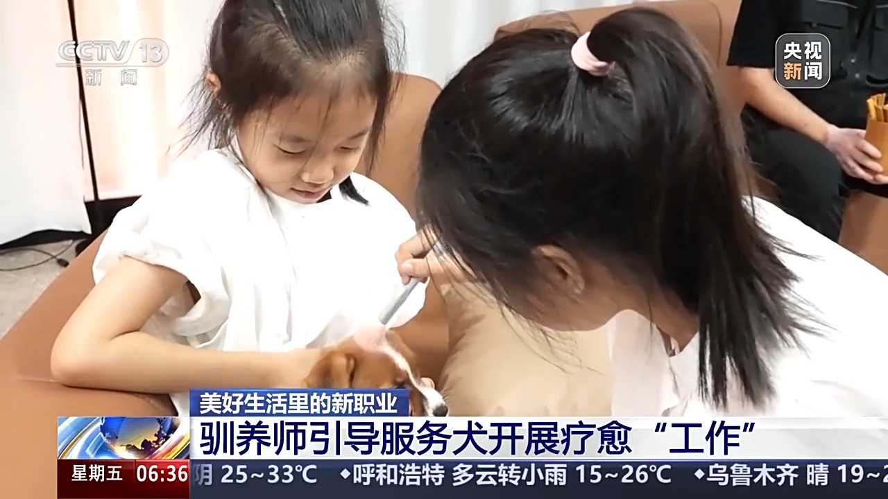 
广州中山眼科医院黄牛代挂号电话票贩子号贩子网上预约挂号,住院检查加快,宠物服务招聘增速超72% 年轻人纷纷加入这一新兴行业