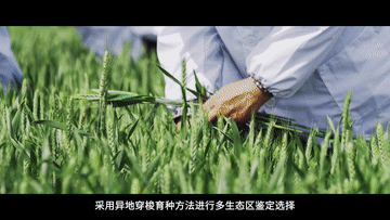 
首都医科大学附属北京中医院黄牛代挂号电话票贩子号贩子网上预约挂号,住院检查加快,纪录片｜上合，尚合