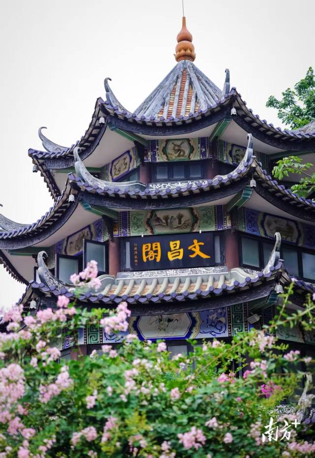 
北京朝阳医院黄牛代挂号电话票贩子号贩子网上预约挂号,住院检查加快,文化中国行·处暑 | 炎夏收梢凉风起，秋实累累压枝低