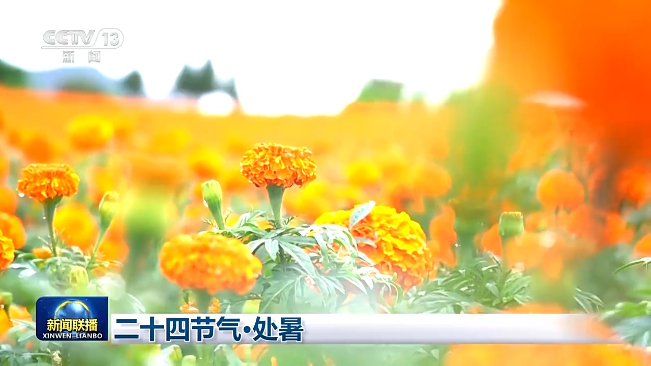 
江苏省中西医结合医院黄牛代挂号电话票贩子号贩子网上预约挂号,住院检查加快,文化中国行丨二十四节气·处暑 万物渐染秋意 家家修仓廪
