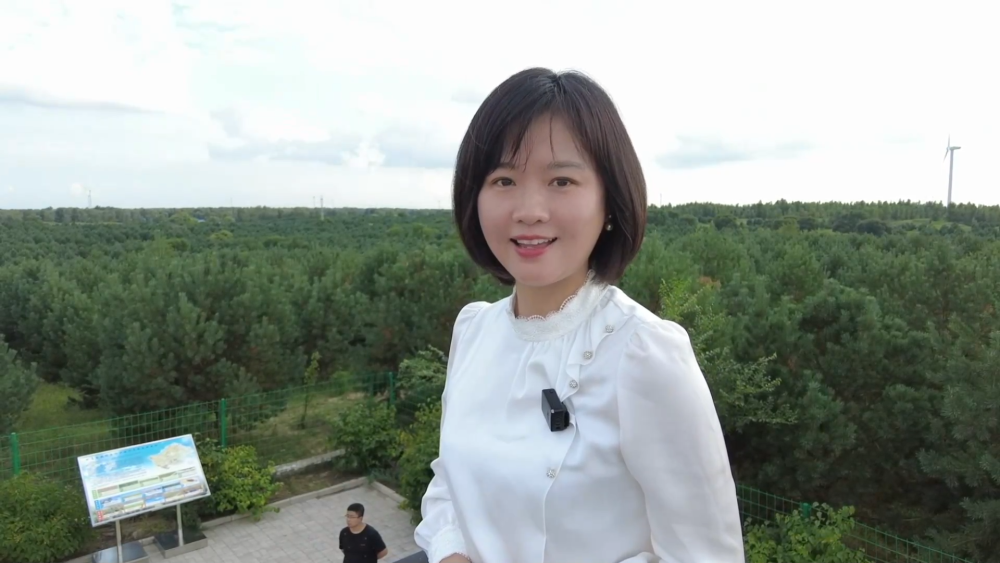 
北京301医院黄牛代挂号电话票贩子号贩子网上预约挂号,住院检查加快,活力中国调研行｜Vlog：沙地没有“沙”，一起来看“绿”