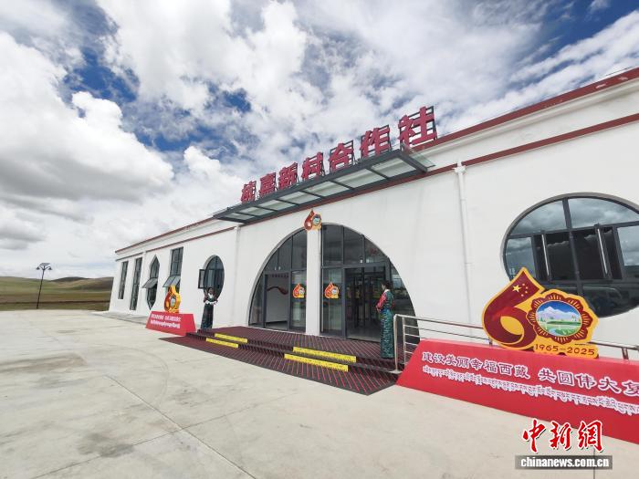 
杭州市一医院黄牛代挂号电话票贩子号贩子网上预约挂号,住院检查加快,（辉煌60载 魅力新西藏）西藏甲子华诞激励高原儿女