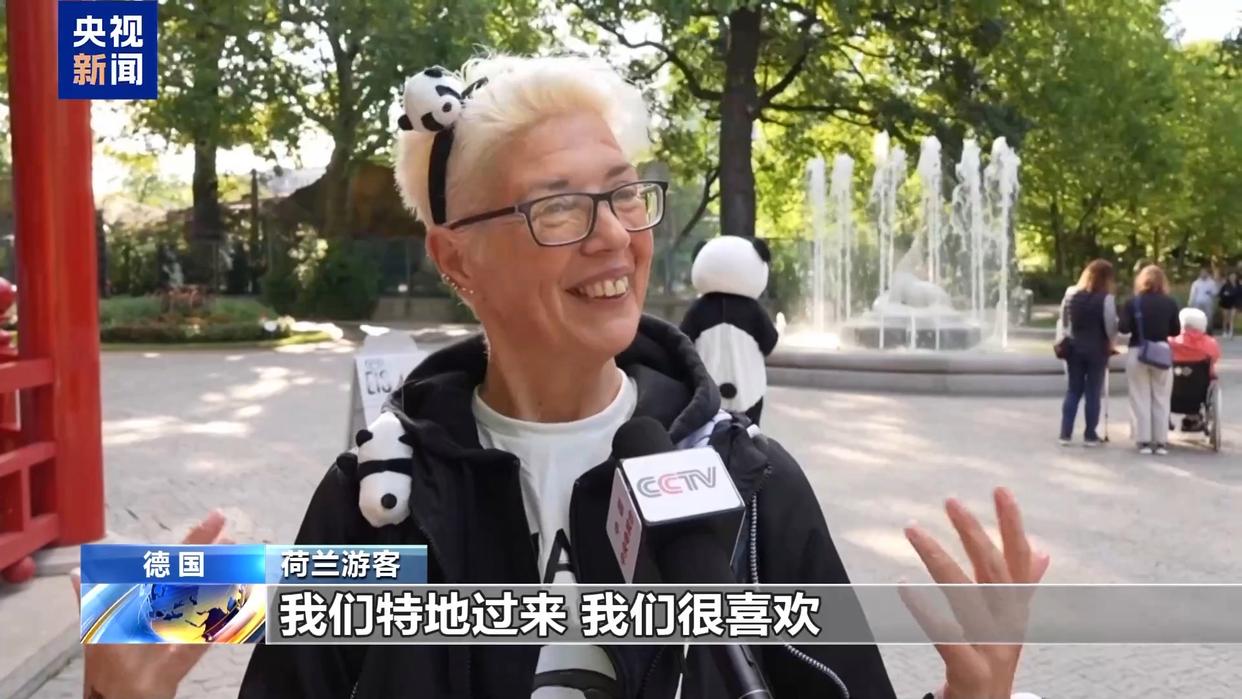 
北京安贞医院黄牛代挂号电话票贩子号贩子网上预约挂号,住院检查加快,从150克长到21公斤 旅德大熊猫“梦好”“梦甜”喜迎周岁生日