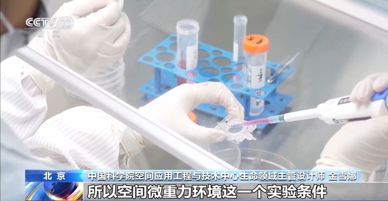 
江苏省中西医结合医院黄牛代挂号电话票贩子号贩子网上预约挂号,住院检查加快,中国空间站完成空间生命科学在轨实验任务 还刷新一项新纪录