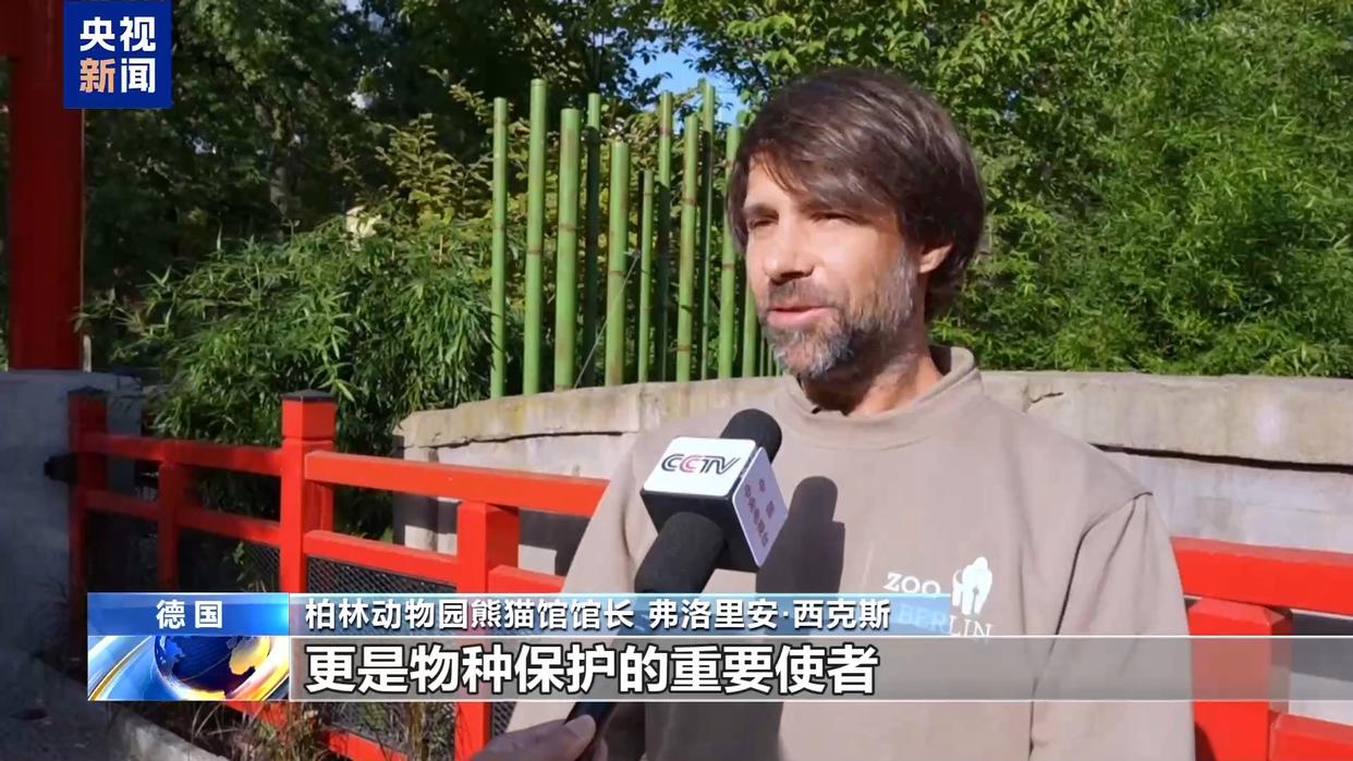 
北京安贞医院黄牛代挂号电话票贩子号贩子网上预约挂号,住院检查加快,从150克长到21公斤 旅德大熊猫“梦好”“梦甜”喜迎周岁生日