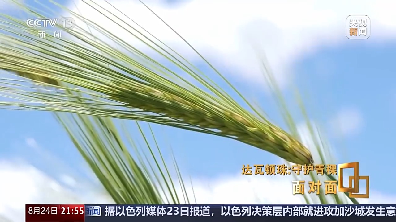 
广州肿瘤医院黄牛代挂号电话票贩子号贩子网上预约挂号,住院检查加快,面对面丨青稞为何要保留延续四千多个品种？解码“西藏粮仓”密码