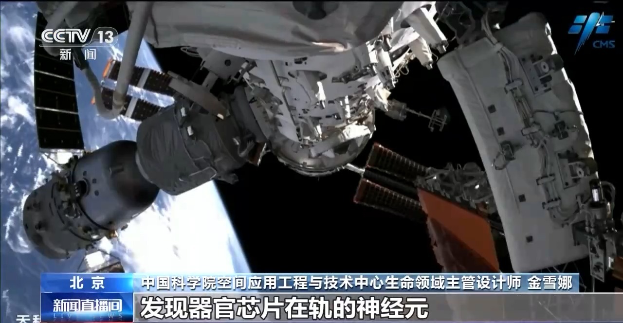 
江苏省中西医结合医院黄牛代挂号电话票贩子号贩子网上预约挂号,住院检查加快,中国空间站完成空间生命科学在轨实验任务 还刷新一项新纪录