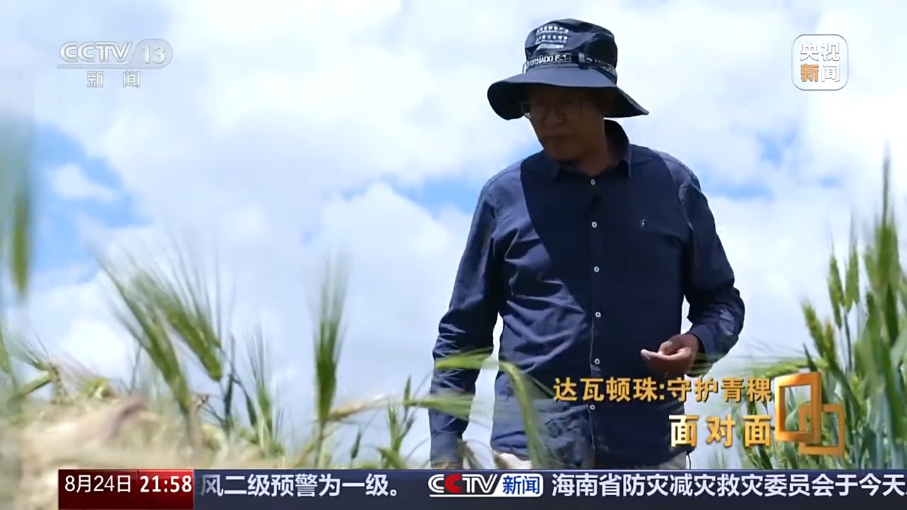 
广州肿瘤医院黄牛代挂号电话票贩子号贩子网上预约挂号,住院检查加快,面对面丨青稞为何要保留延续四千多个品种？解码“西藏粮仓”密码